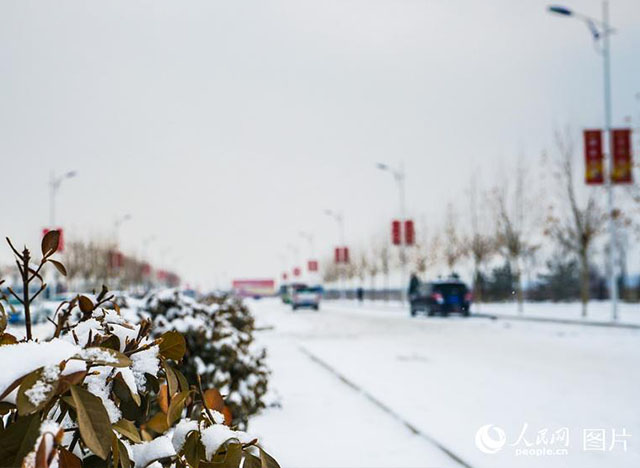 疑是林花昨夜開！雄安迎來2018年第一場雪