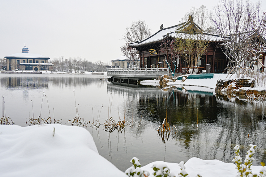 雄安新區(qū)容東片區(qū)園林雪景。胡忠攝